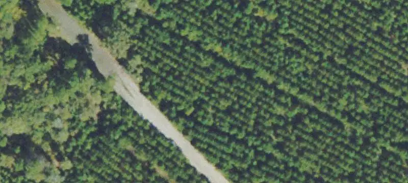 Hunting Land with Lodge