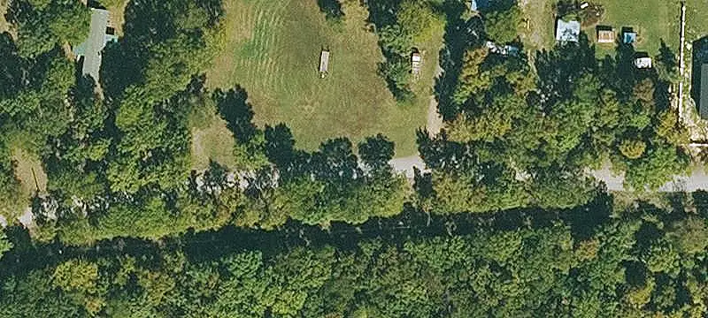 Young Forest Hunting Land