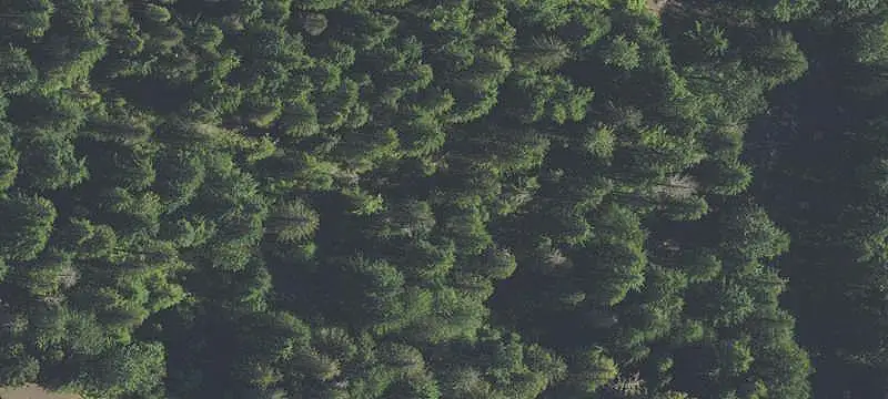 Land/Lot