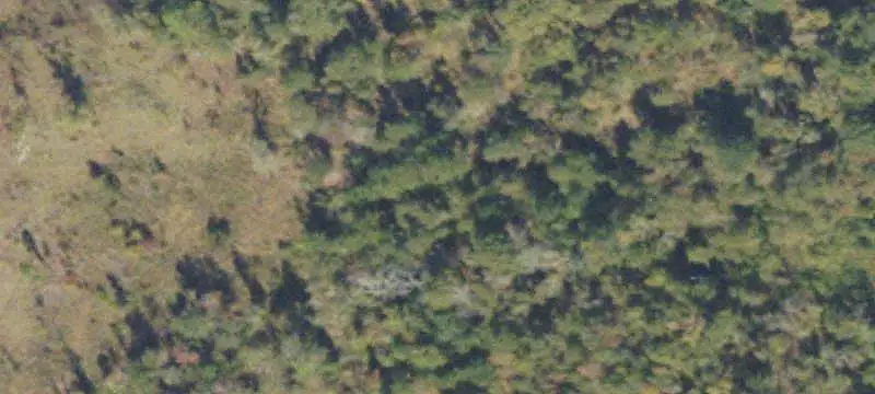 Unimproved Land