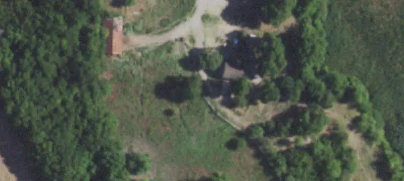 Wooded Land