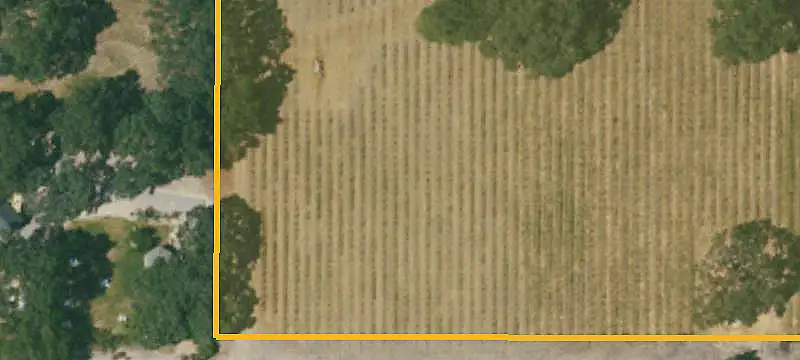 Vineyard Property
