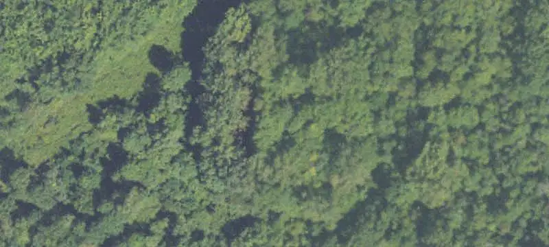 Wooded Recreational Land
