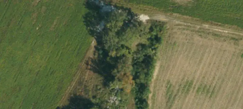 Land