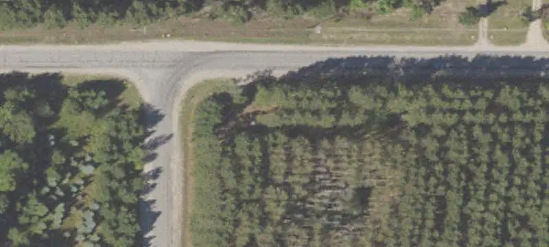 Wooded Corner Land Parcel