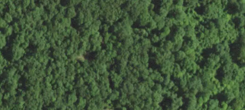 Farm