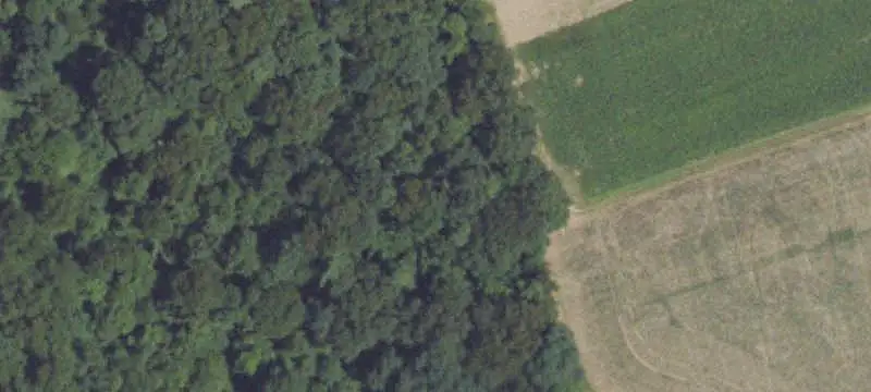 Farmland with Wooded Cover