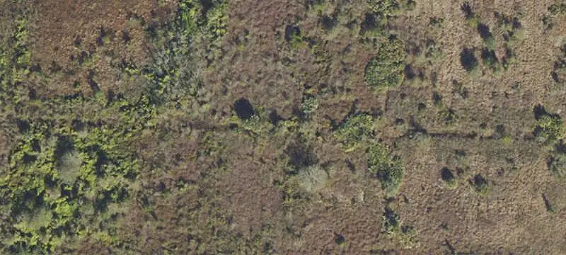 Land or Vacant Lot