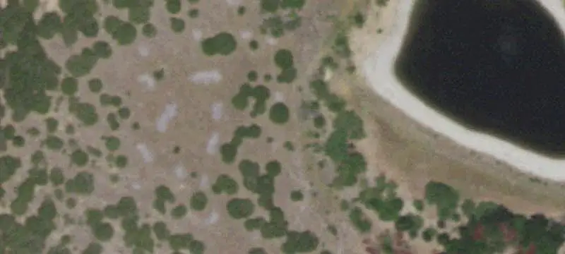 Equestrian Ranch with Guest House