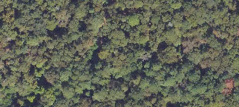 Unimproved Land