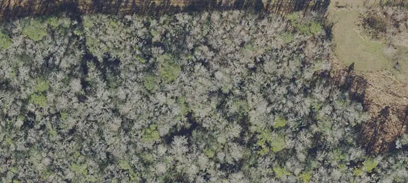 Unimproved Land