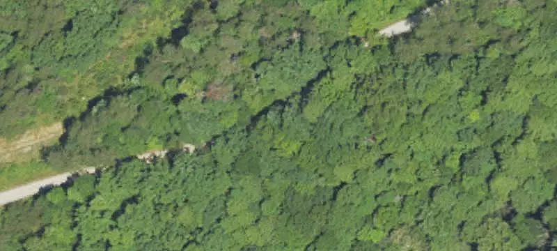 Wooded Recreational Land
