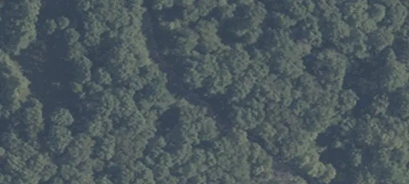 Wooded Recreation Land