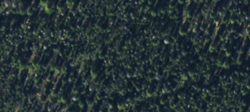Hunting Land Along National Forest