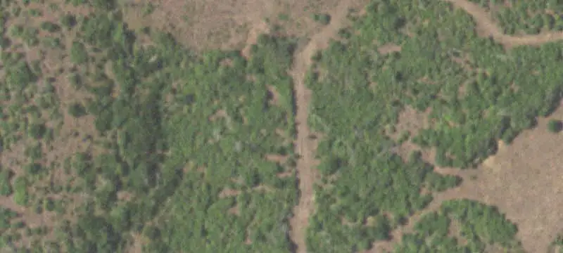 Ranch with Equestrian Facilities
