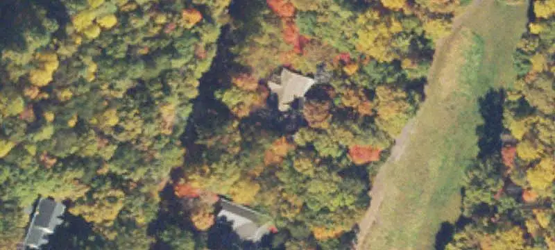 Wooded Land