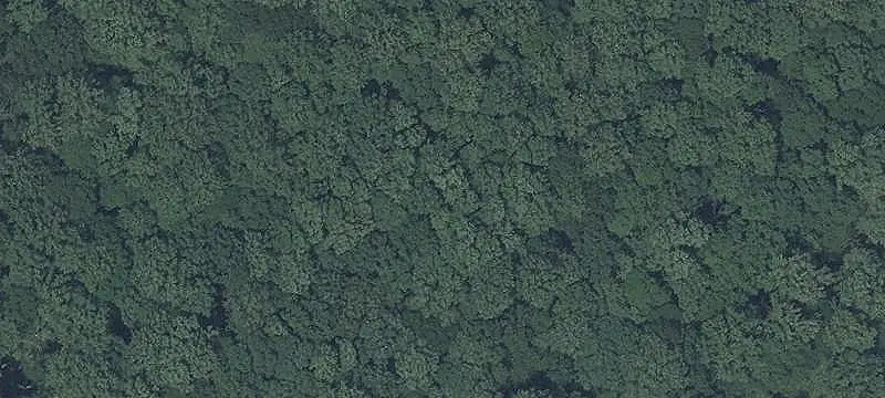 Agricultural Land