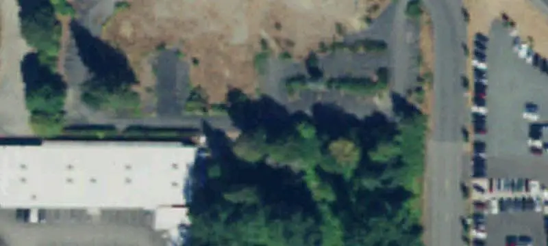 Three-Location Pet Retail Business