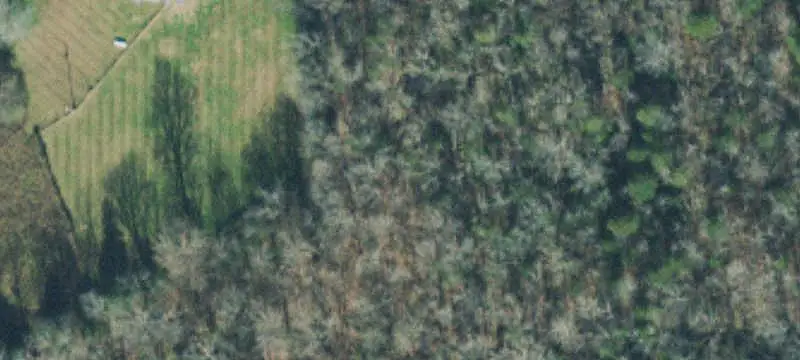 Land