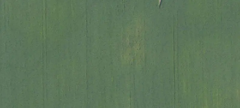 Farm with Tiled Cropland