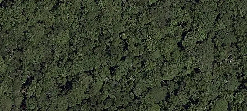 Wooded Land Parcel