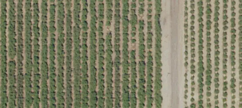 Almond Farm for Redevelopment