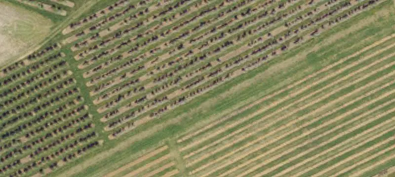 Two-Home Farm with Orchards