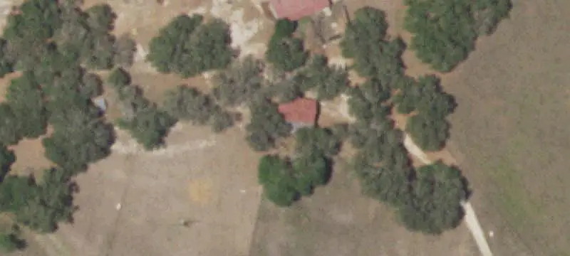 Ranch