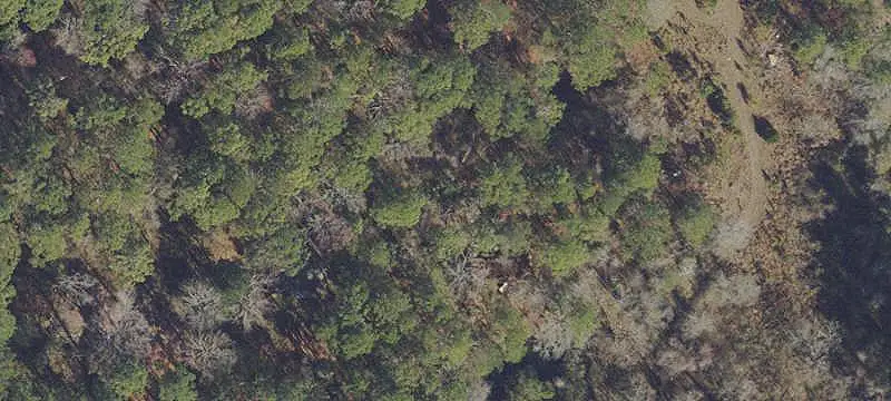 Unimproved Land