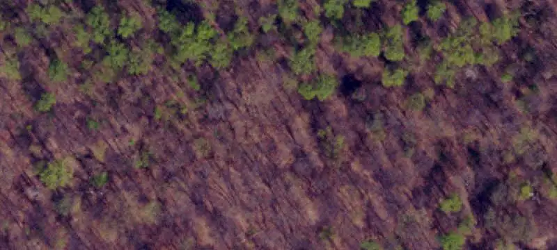 Residential Land with Trees