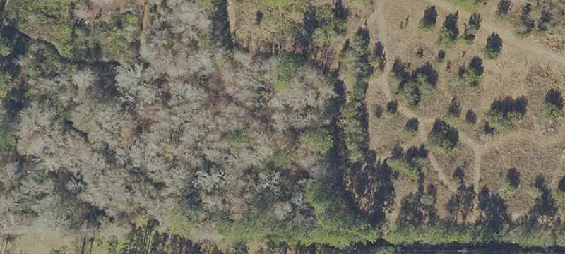 Unimproved Land