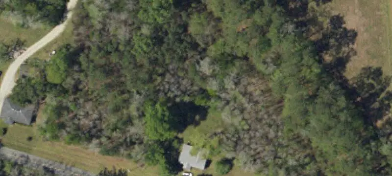 Four-Acre Land Parcel