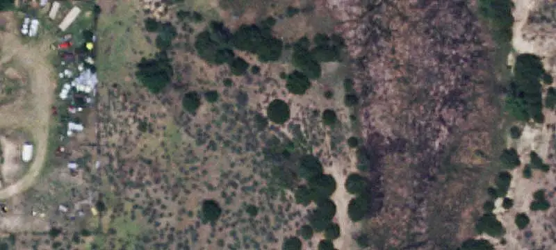 Land