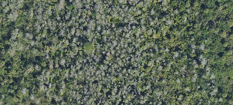 Land/Lot
