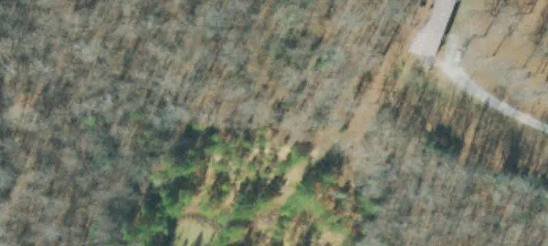 Pasture and Timber Farm