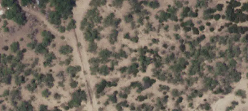 Hunting Land with Cabin