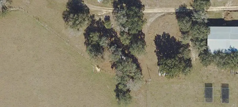 Cattle and Hay Farm