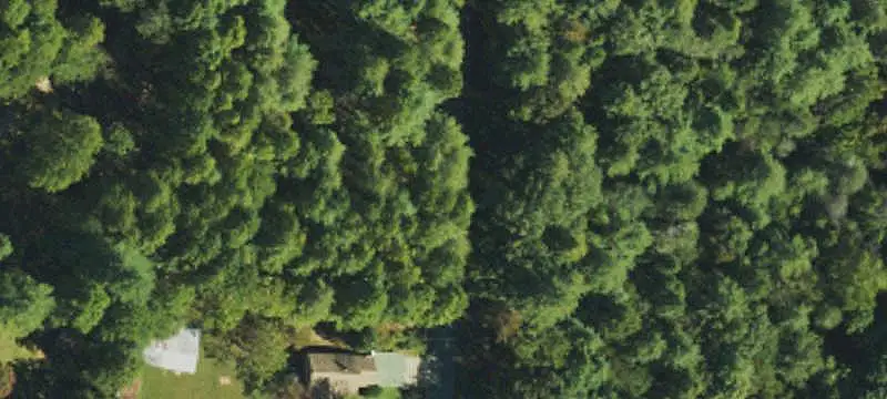 Land/Lot