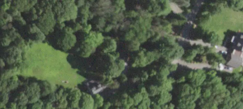 Wooded Land Parcel
