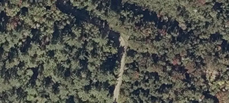 Recreational Land with Cabin
