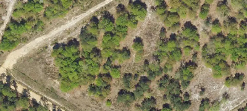 Land/Lot