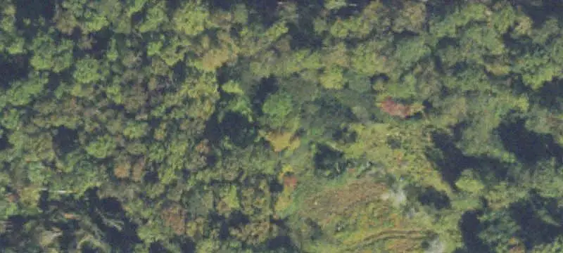 Unimproved Land