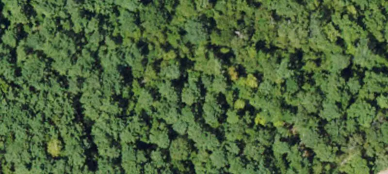 Fenced Commercial Land