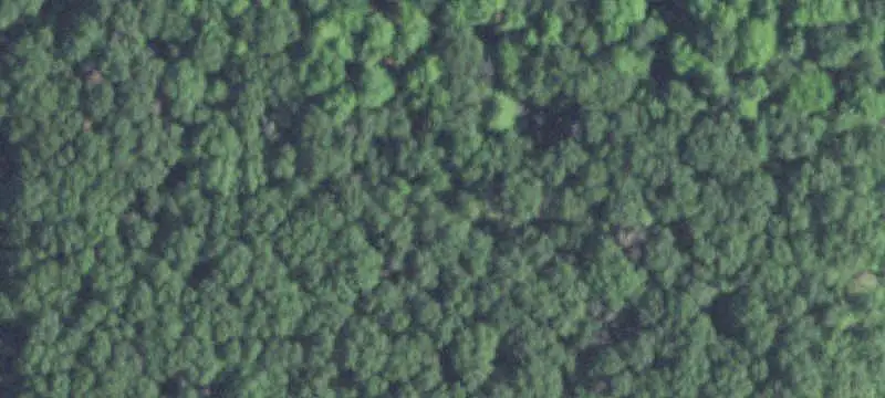 20-Acre Land Parcel