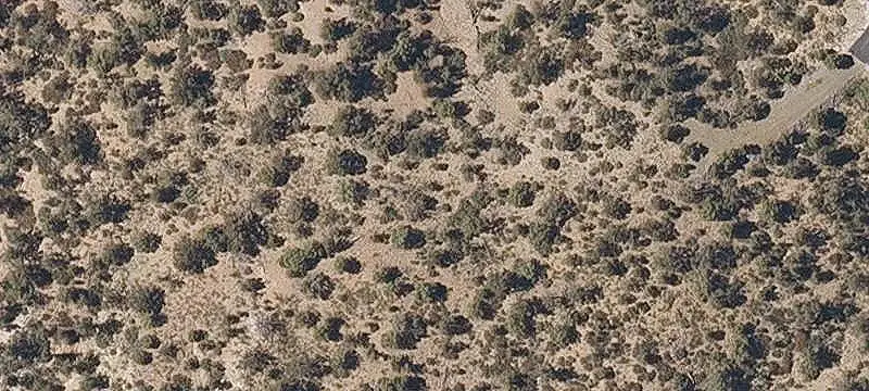 Land/Lot