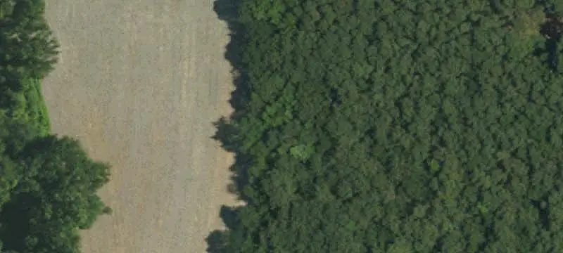 Land/Lot