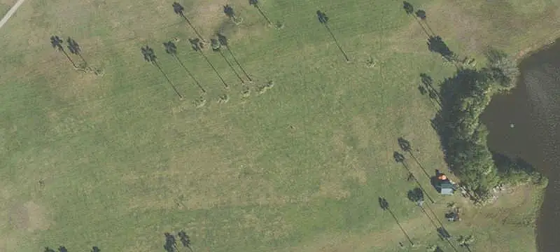Commercial Land