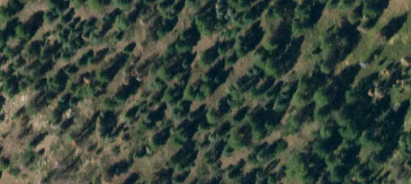 Mountain Hunting Land