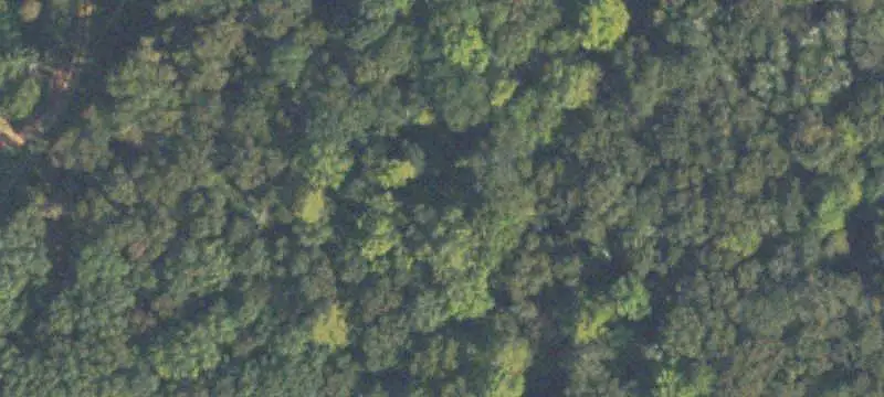 Land/Lot