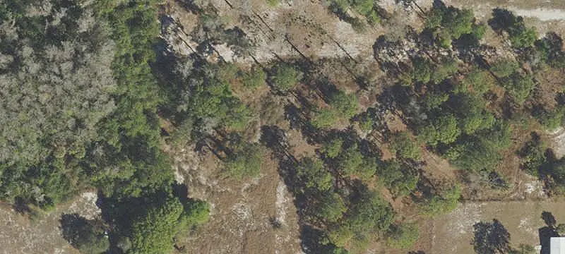 Land/Lot
